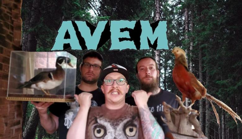 AVEM: when punk rock meets birdwatching