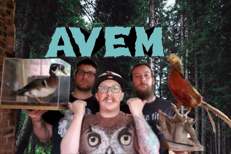 AVEM: when punk rock meets birdwatching