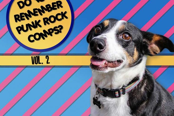 PREMIERE: Hidden Home Records shares free comp 'Do You Remember Punk Rock Comps? Vol. 2'