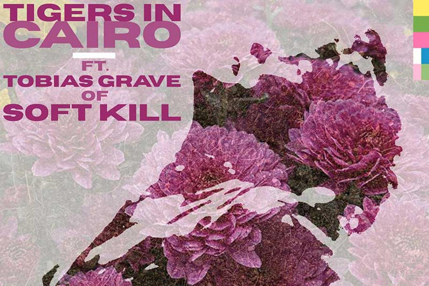  Tigers In Cairo shares new single 'In Our Fields' (ft. Soft Kill's Tobias Grave)