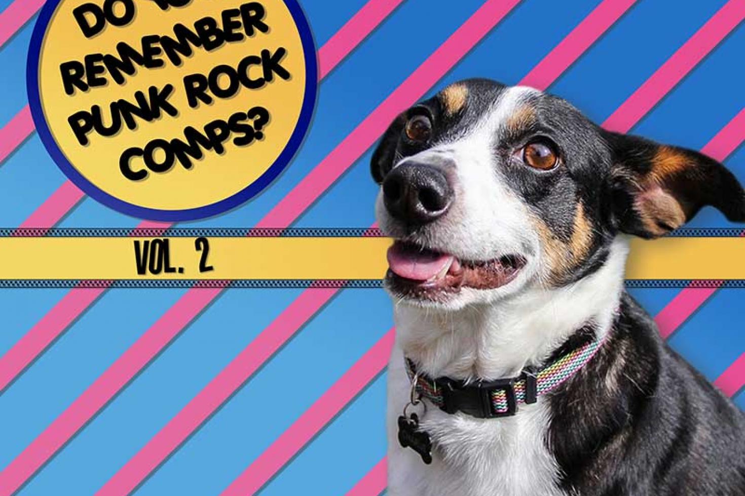 PREMIERE: Hidden Home Records shares free comp 'Do You Remember Punk Rock Comps? Vol. 2'