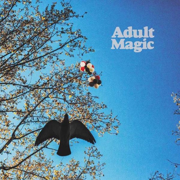 Adult Magic Adult Magic Punk Rock Theory