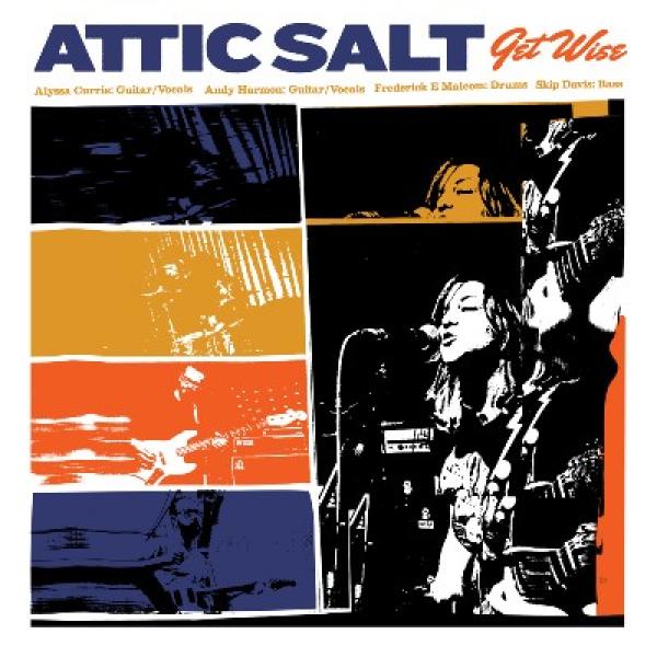 Attic Salt Get Wise Punk Rock Theory