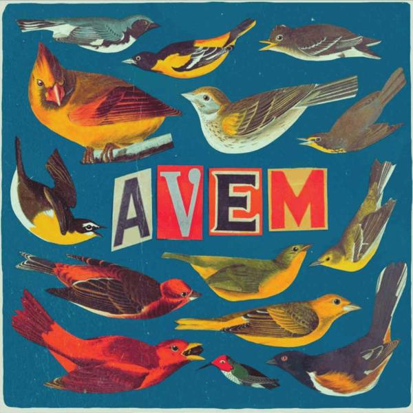 AVEM AVEM Punk Rock Theory