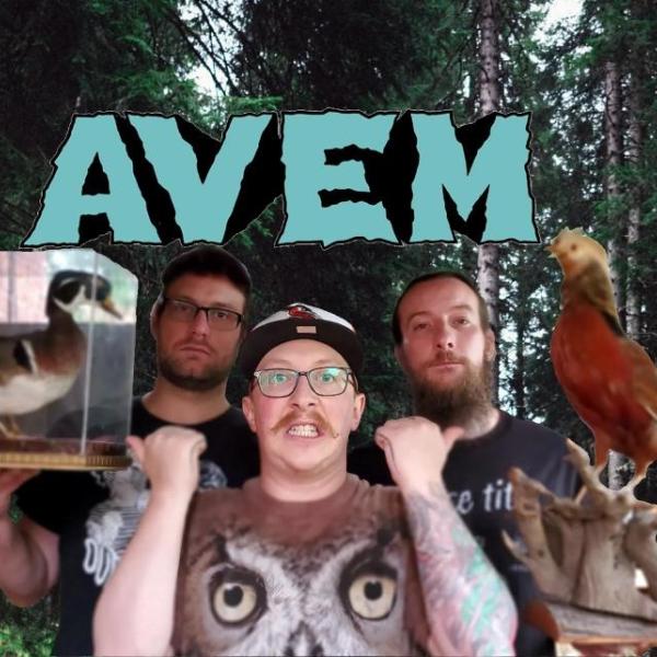 AVEM: when punk rock meets birdwatching
