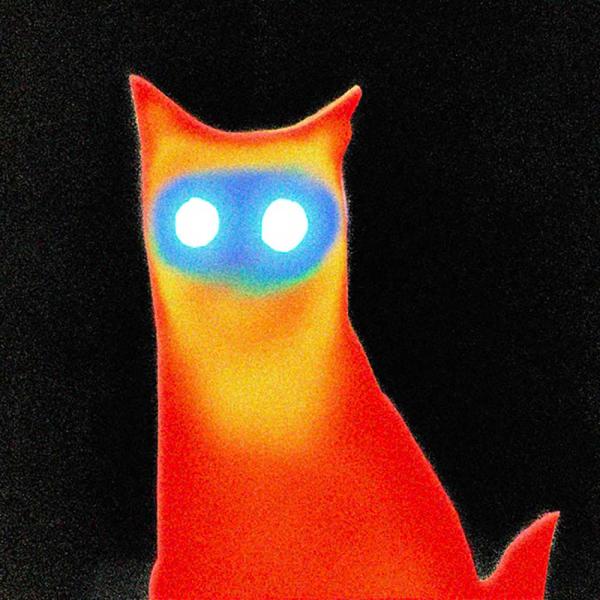 Basement Wired Punk ROck THeory