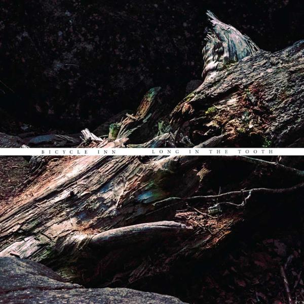 Bicycle Inn Long In The Tooth Punk Rock Theory