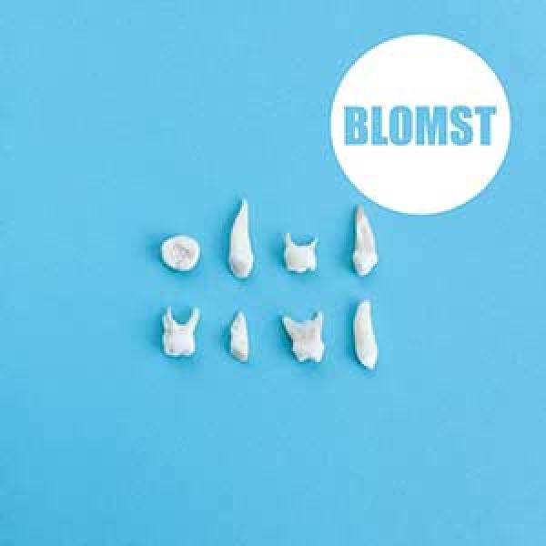 Blomst – Blomst