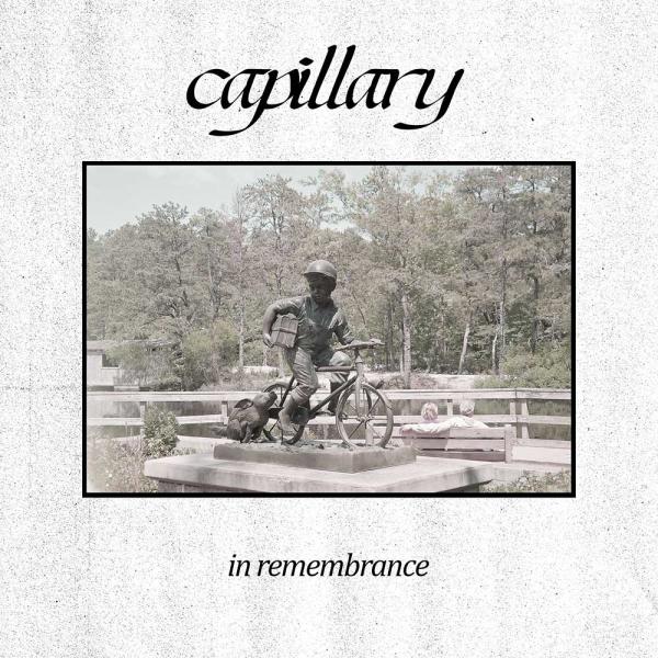 Capillary In Remembrance Punk Rock Theory