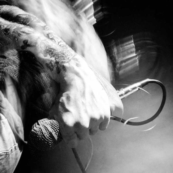 Chico Chico Punk Rock Theory