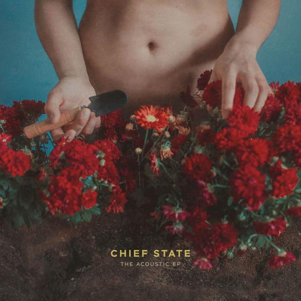 Chief State The Acoustic EP Punk Rock Theory