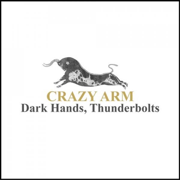 Crazy Arm Dark Hands Thunderbolts Punk Rock Theory