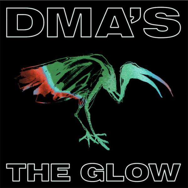 DMA's The Glow Punk Rock Theory