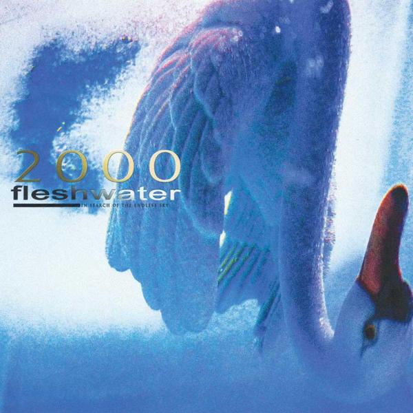 Fleshwater 2000 In Search Of The Endless Sky Punk Rock Theory