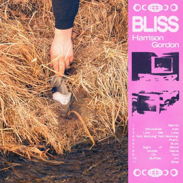 Harrison Gordon Bliss Punk Rock Theory