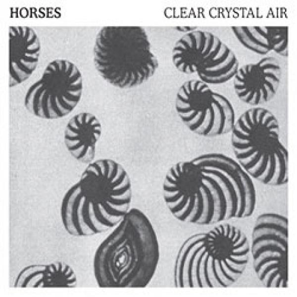 Horses – Clear Crystal Air