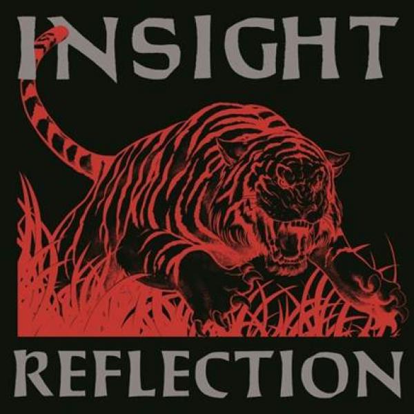 Insight Reflection Punk Rock Theory