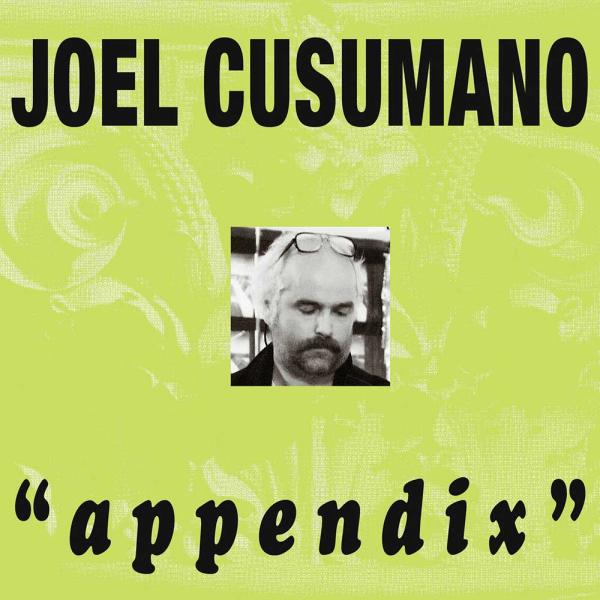 Joel Cusumano Appendix Punk Rock Theory