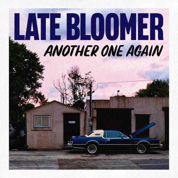 Late Bloomer Another One Again Punk Rock Theory