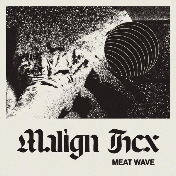 Meat Wave Malign Hex Punk Rock Theory