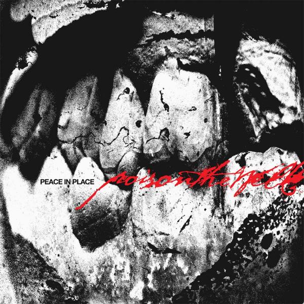 Poison The Well Peace In Place Punk Rock Theory