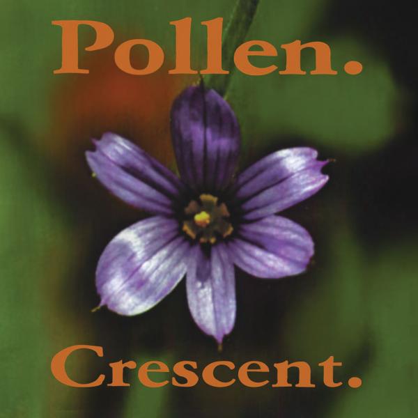 Pollen Crescent Punk Rock Theory