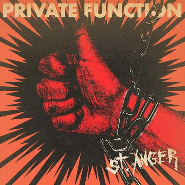 Private Function St. Anger Punk Rock Theory