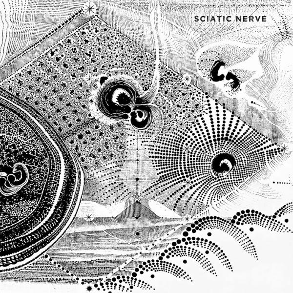 Sciatic Nerve - Sciatic Nerve