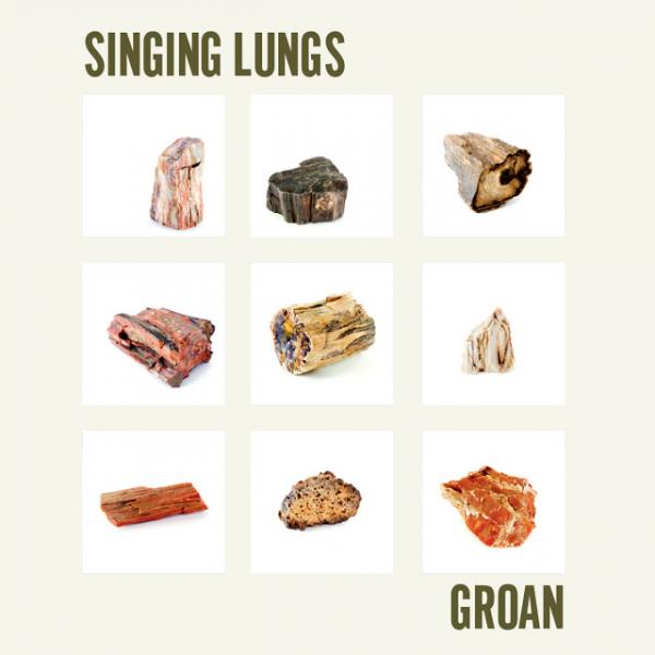 Singing Lungs Groan Punk Rock Theory