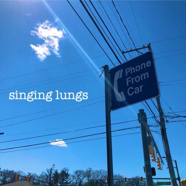 Singing Lungs Phone From Car Punk Rock Theory