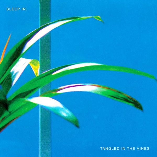 Sleep In Tangled In The Vines Punk Rock Theory