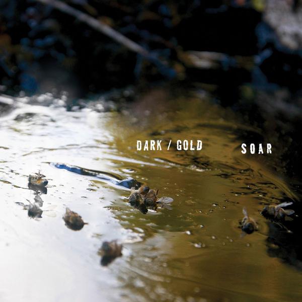 Soar - Dark/Gold