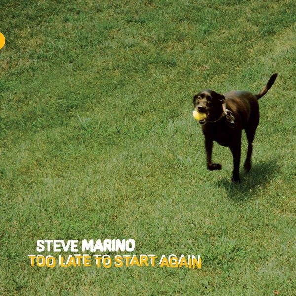 Steve Marino Too Late To Start Again Punk Rock Theory