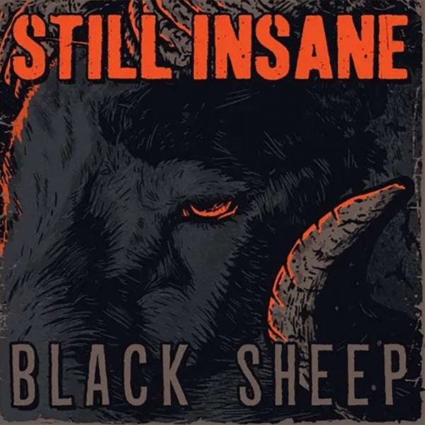 Still Insane Black Sheep Punk Rock Theory