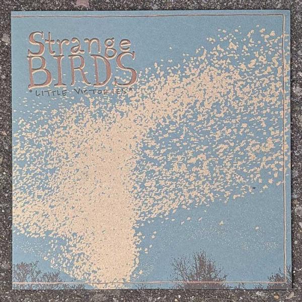 Strange Birds Little Victories Punk Rock Theory