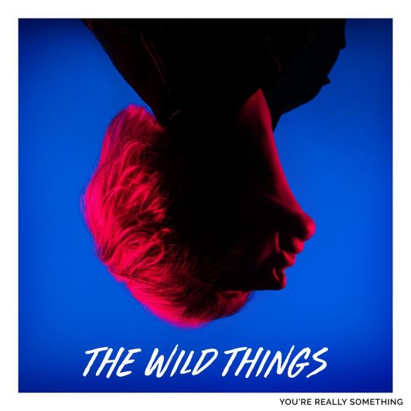 The Wild Things You're Really Something Punk Rock Theory