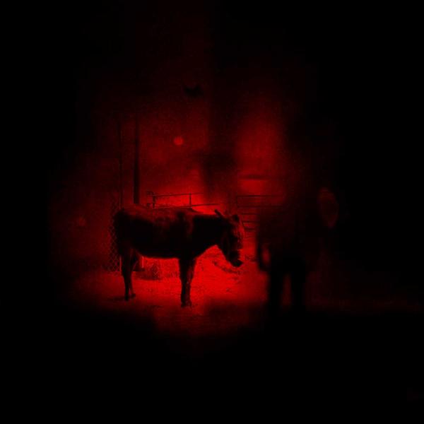 Time Thieves Come Home/If You Survive Punk Rock Theory