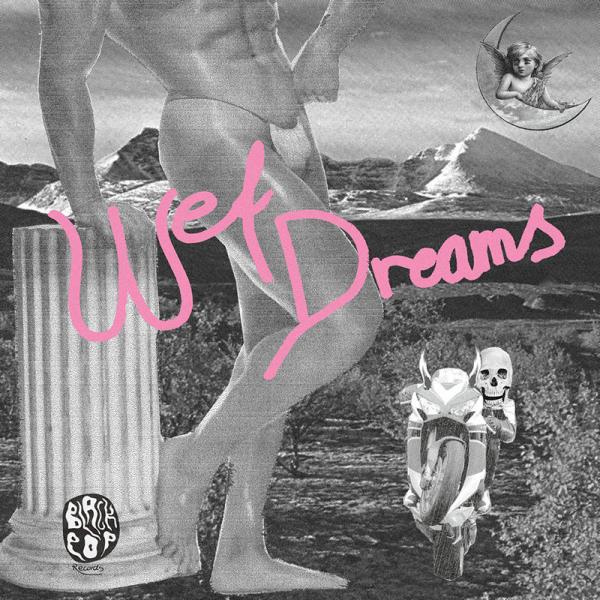 Wet Dreams Wet Dreams Punk Rock Theory