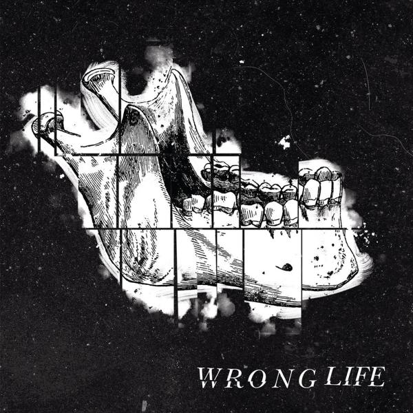 Wrong Life Wrong Life Punk Rock Theory