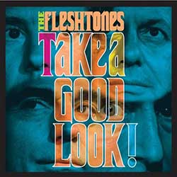 The Fleshtones - Take A Good Look