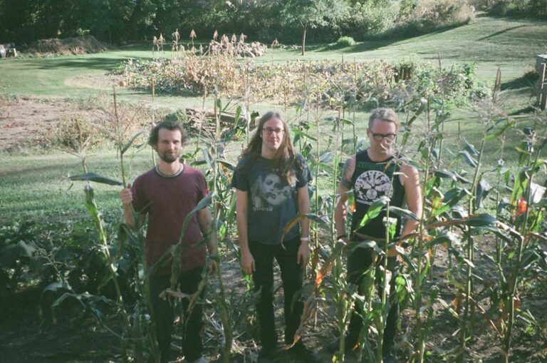 Whippets share new single “Dream Of One”