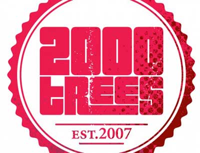 2000 Trees preview