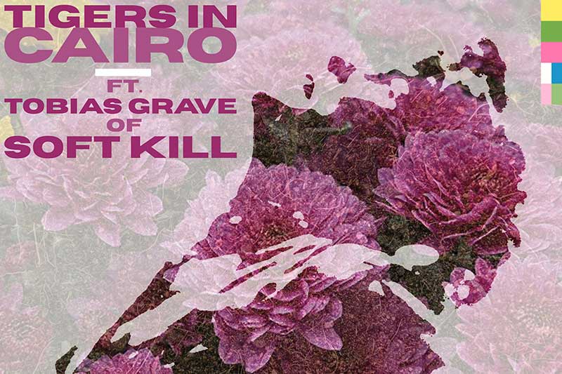Tigers In Cairo shares new single 'In Our Fields' (ft. Soft Kill's Tobias Grave)
