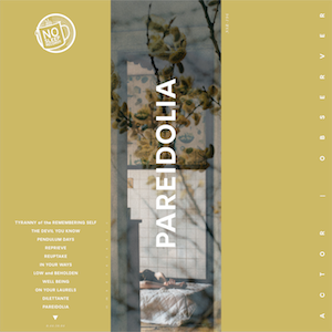 Actor Observer – Pareidolia