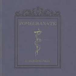 Astronautalis – Pomegranate