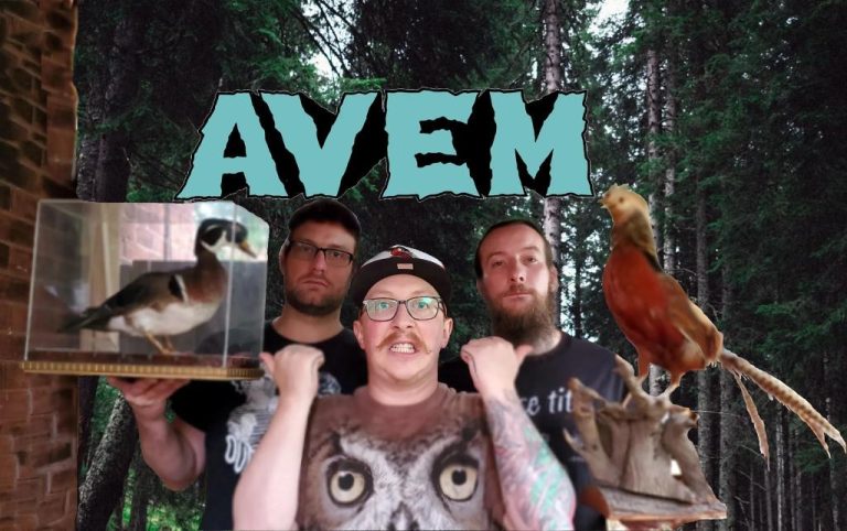 AVEM: when punk rock meets birdwatching