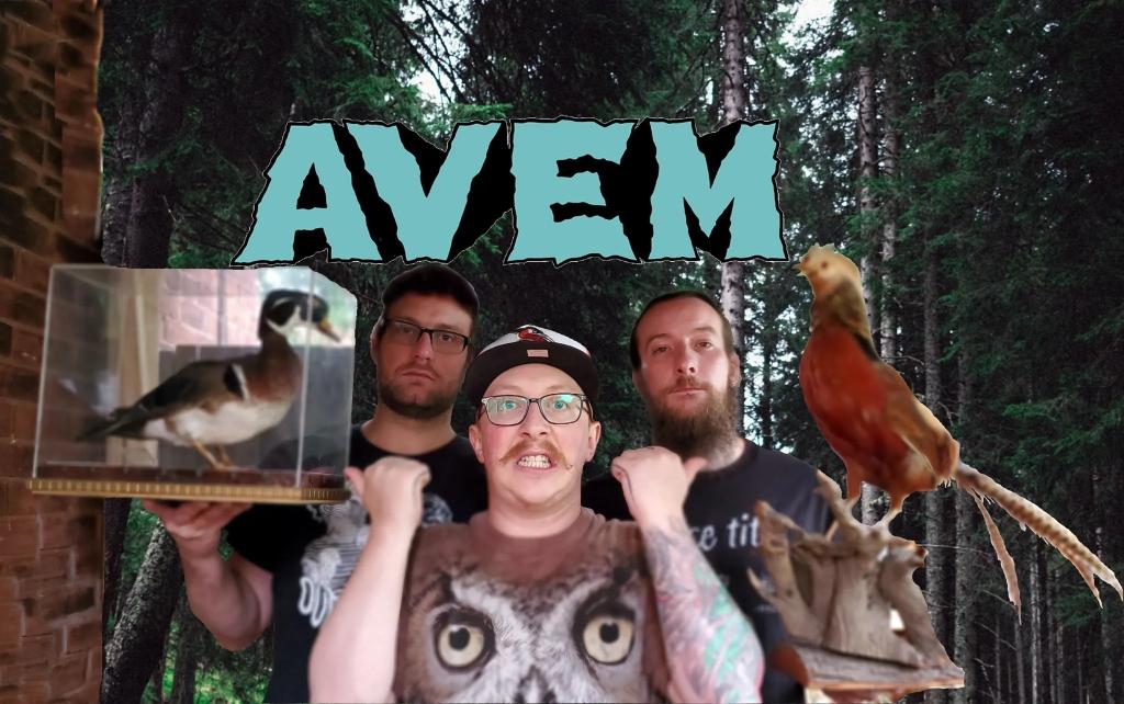 AVEM: when punk rock meets birdwatching