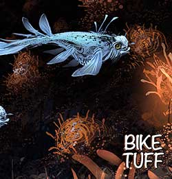 bike tuff into shore