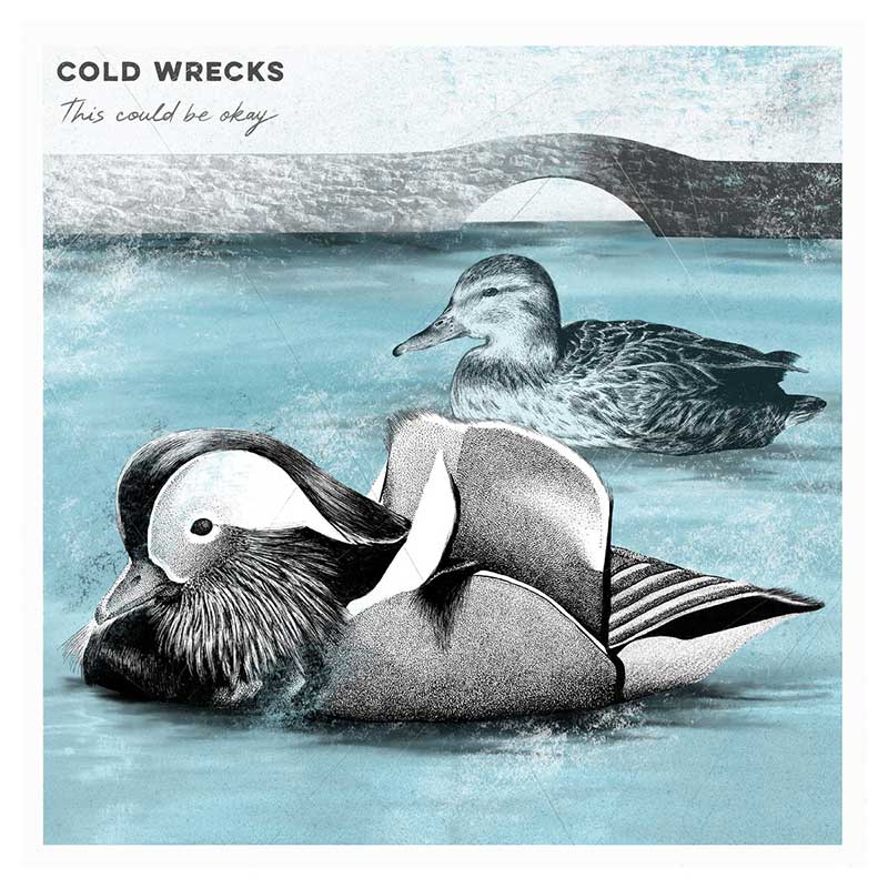 Cold Wrecks This Could Be Okay Punk Rock Theory