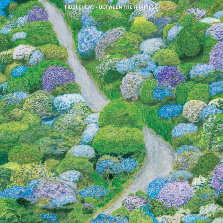 Fiddlehead – Between The Richness